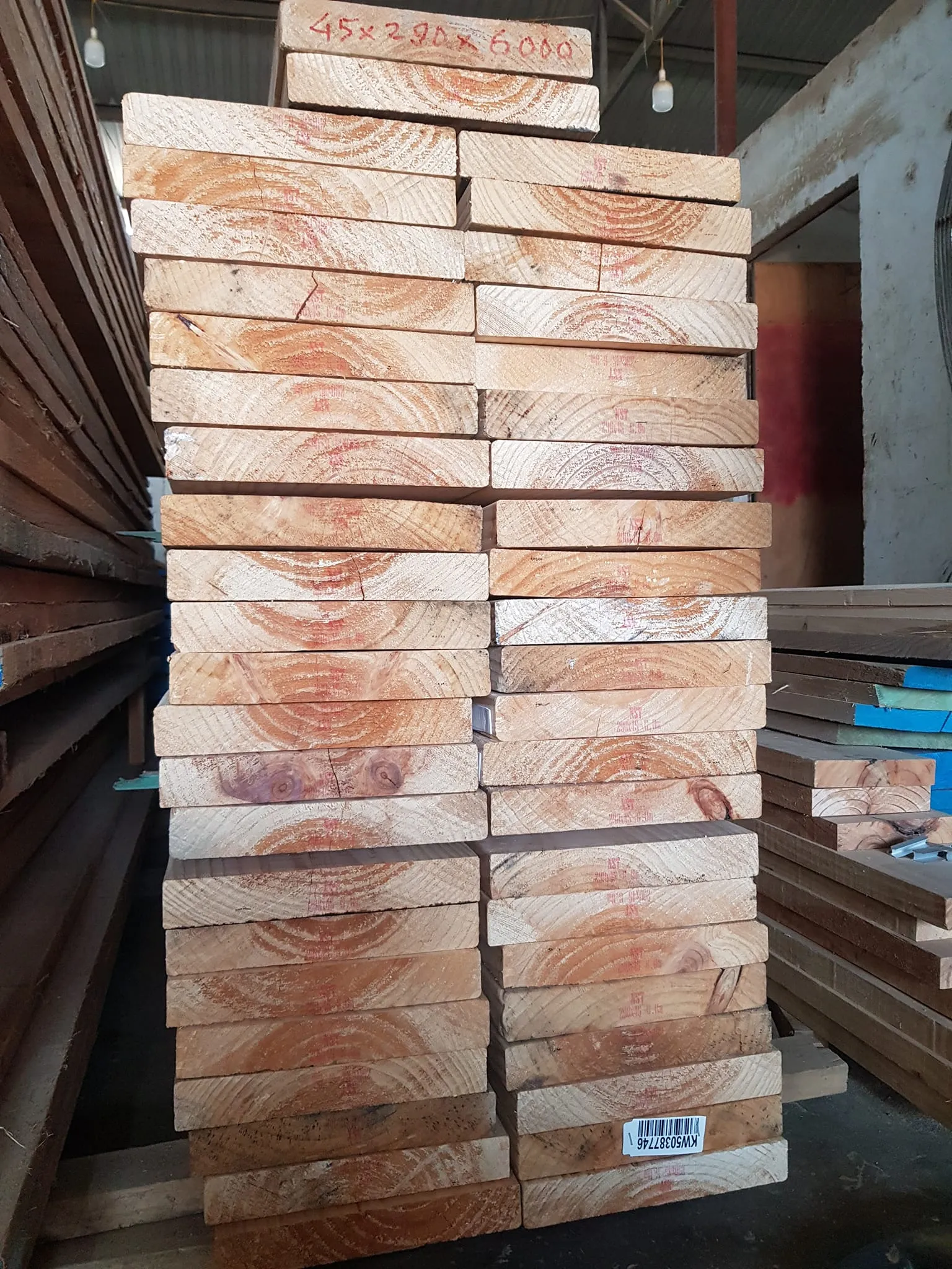 Thông 45 x 240 x 6000 (mm)