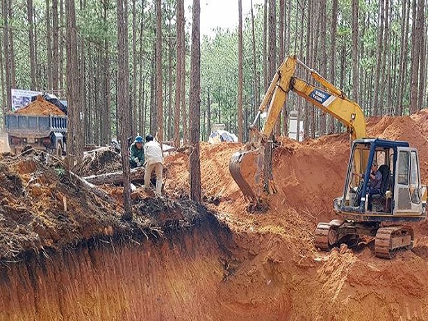 Phá rừng, xây dựng trái phép tại di tích quốc gia hồ Tuyền Lâm